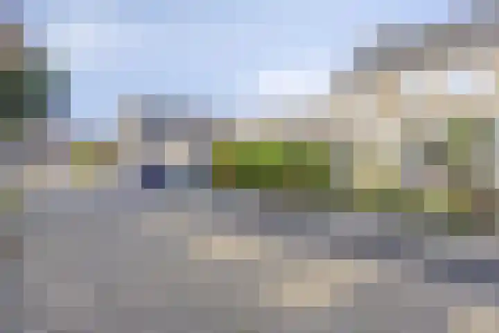 Lisdodde 6 Kampen thumbnail 28