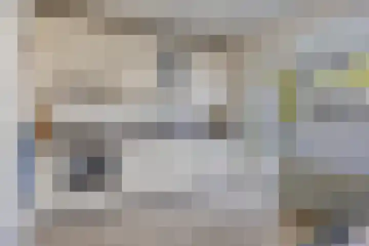 Lisdodde 6 Kampen thumbnail 7