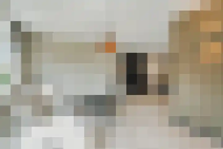 Lisdodde 6 Oudkarspel thumbnail 16