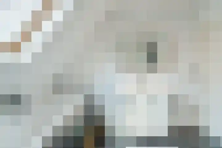 Lisdodde 6 Oudkarspel thumbnail 40