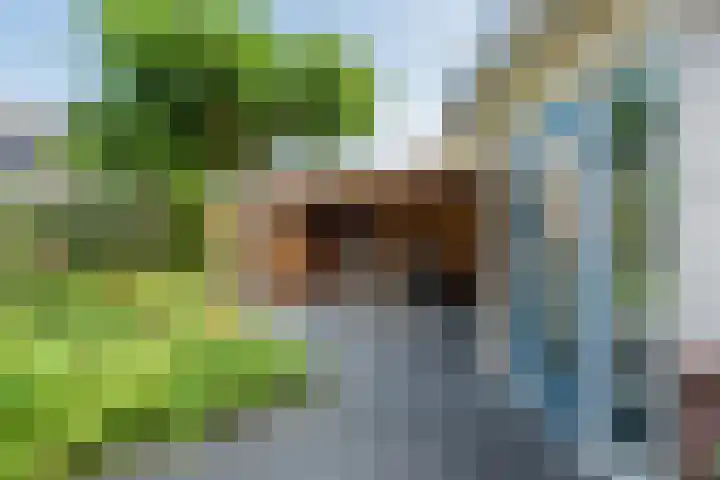 Lisdodde 6 Oudkarspel thumbnail 46