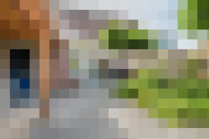 Lisdodde 6 Oudkarspel thumbnail 51