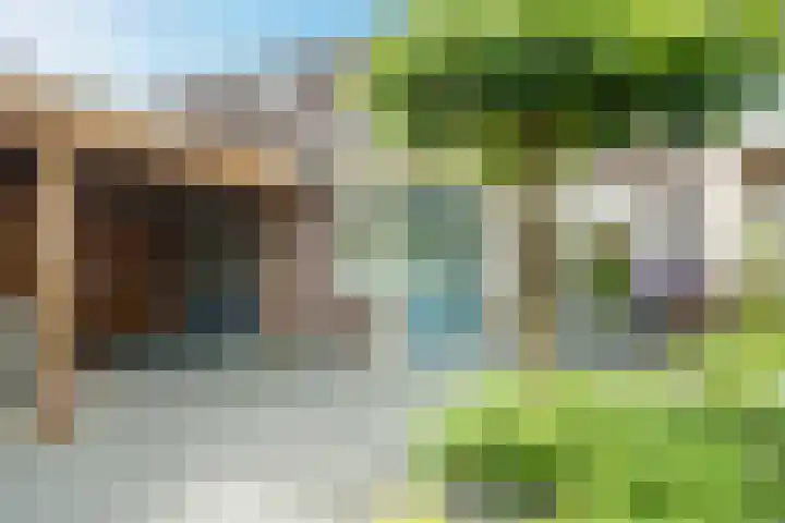 Lisdodde 6 Oudkarspel thumbnail 52