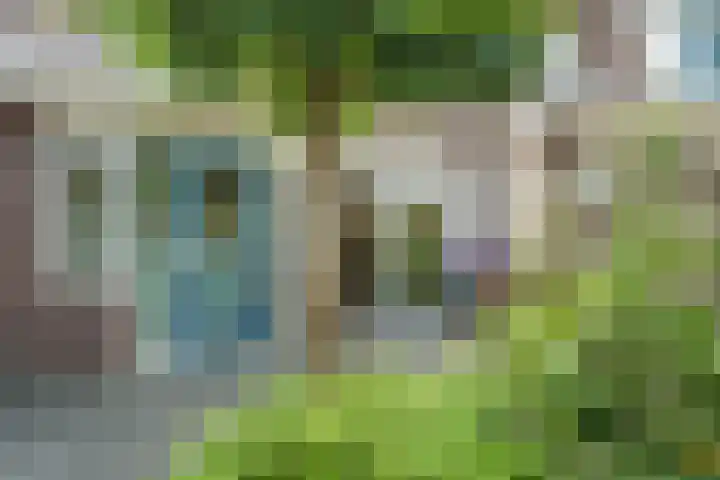 Lisdodde 6 Oudkarspel thumbnail 53