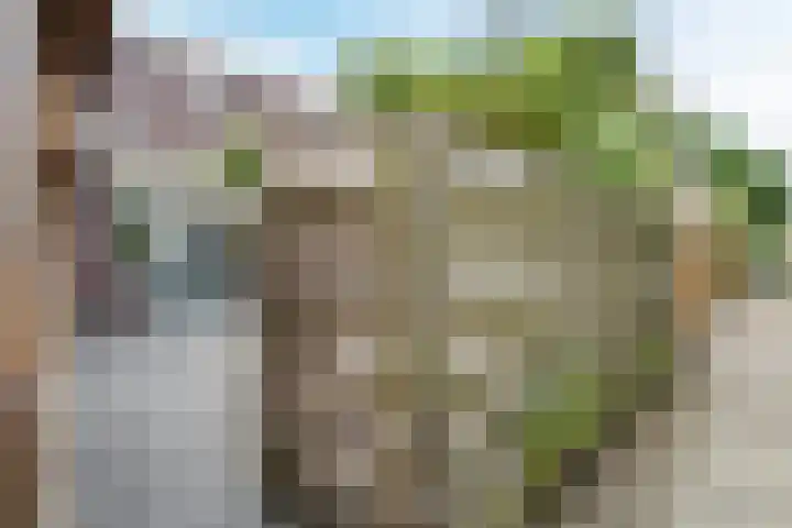 Lisdodde 6 Oudkarspel thumbnail 54