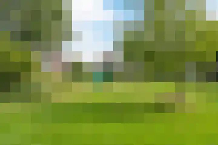 Lisdodde 6 Oudkarspel thumbnail 56