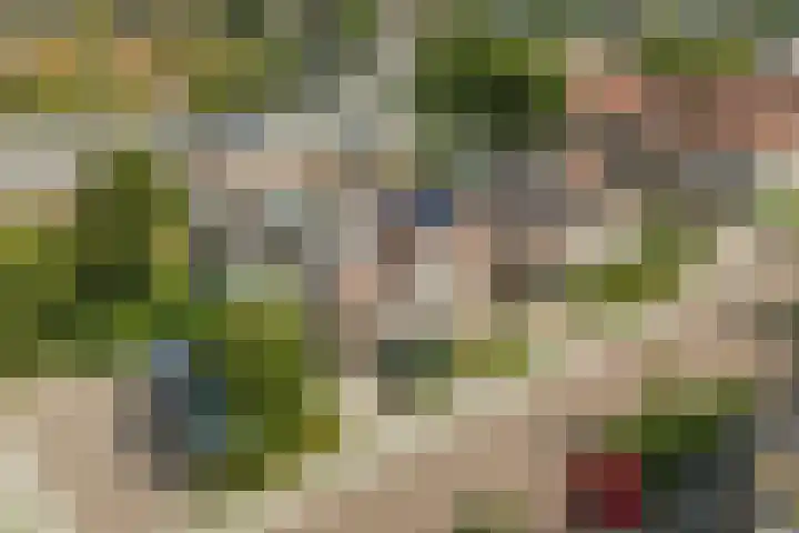 Lisdodde 6 Oudkarspel thumbnail 58