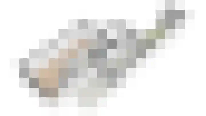 Lisdodde 6 Oudkarspel thumbnail 59
