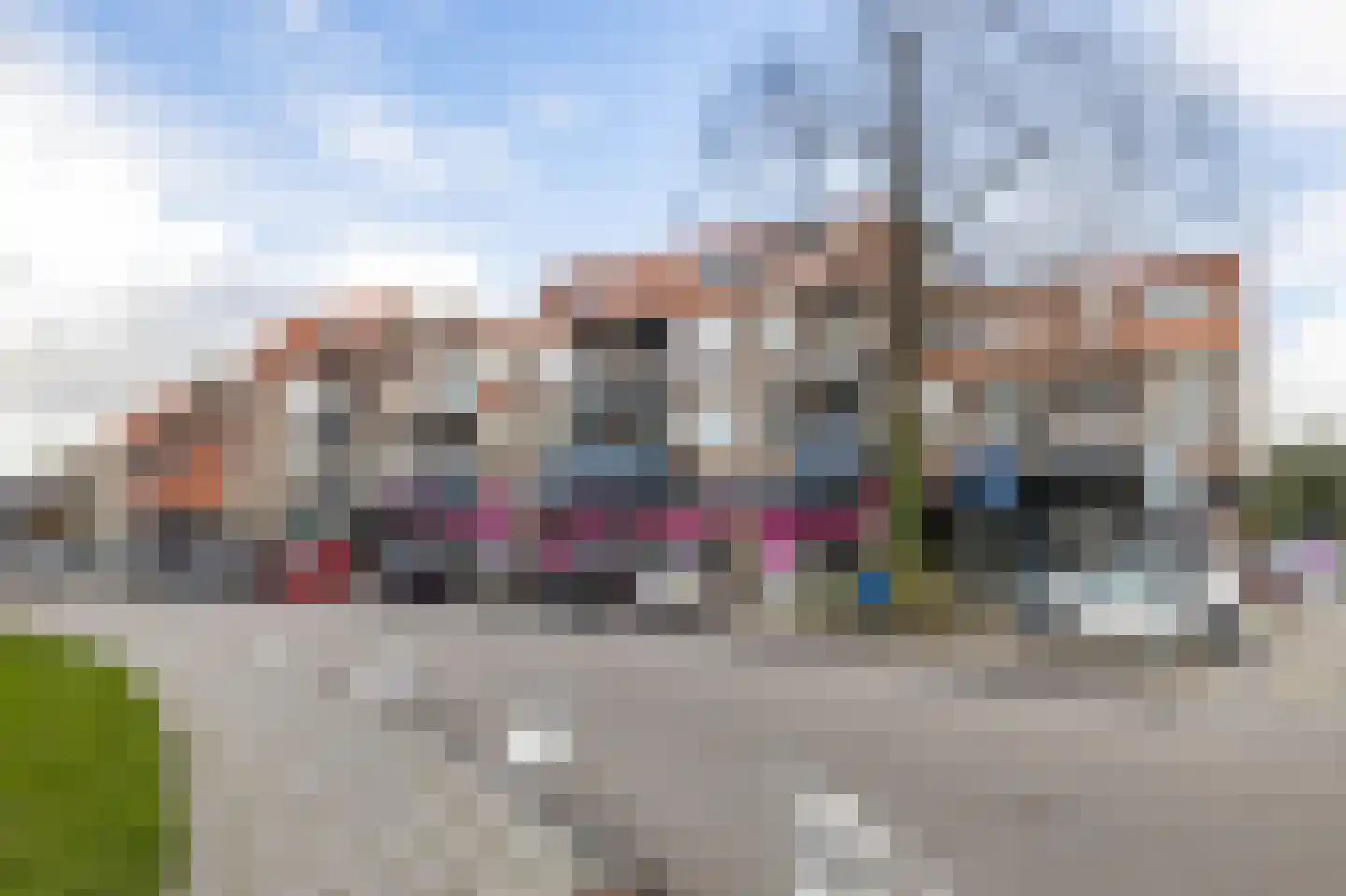 Lisdodde 62 in Almelo