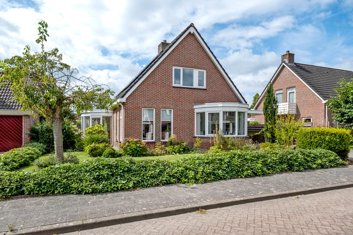 Lisdodde 80 in Nieuw-Buinen