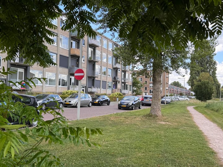 Lisdoddelaan 4-3 in Arnhem foto