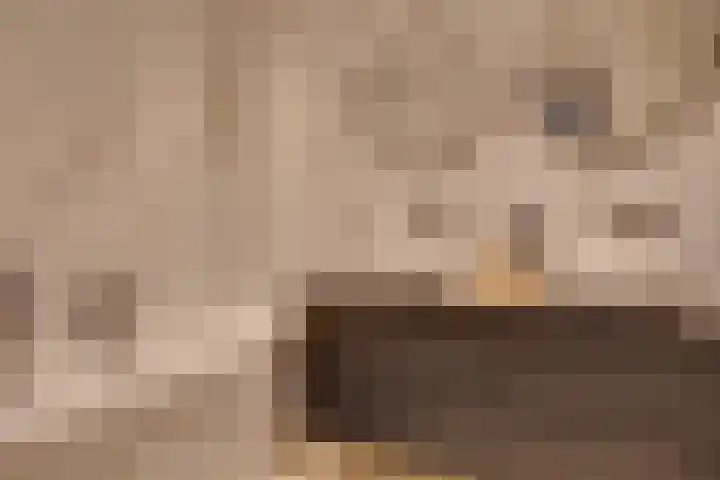 Lisidunalaan 139 Leusden thumbnail 21