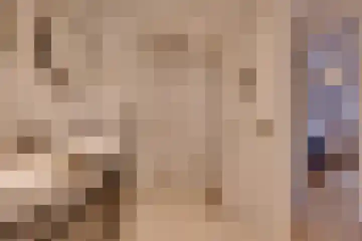 Lisidunalaan 139 Leusden thumbnail 22