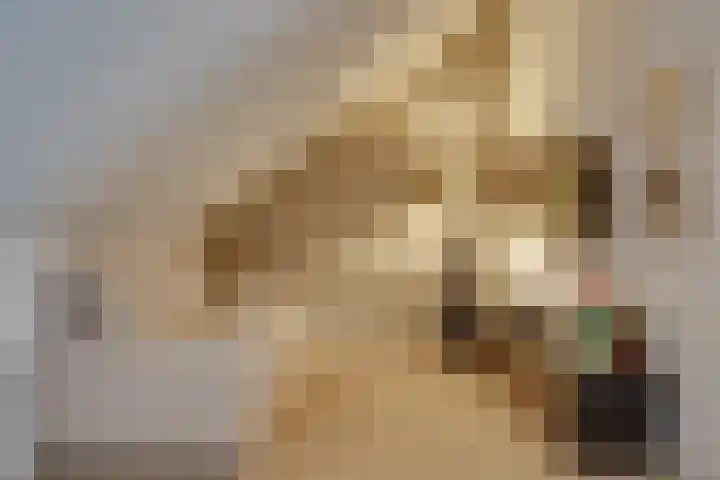 Lisidunalaan 139 Leusden thumbnail 27