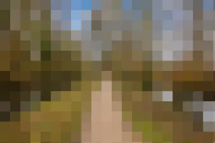 Lisidunalaan 139 Leusden thumbnail 31