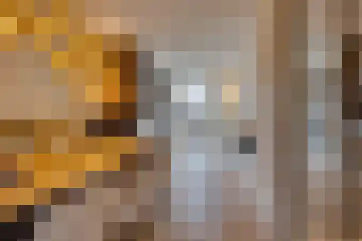 Lisidunalaan 139 Leusden thumbnail 6