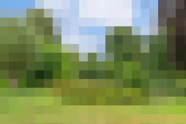 Lisidunalaan 14 Leusden thumbnail 31