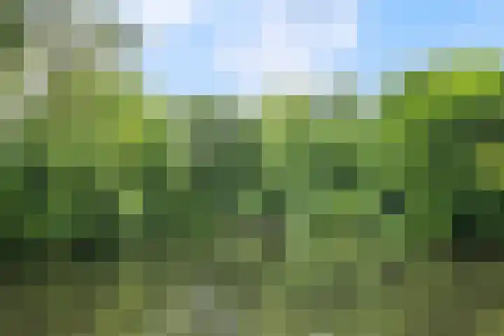 Lisidunalaan 14 Leusden thumbnail 33