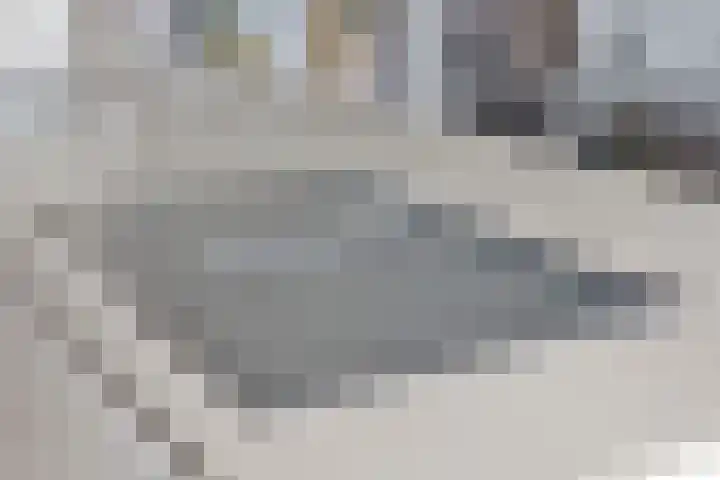 Lisidunalaan 38 Leusden thumbnail 12