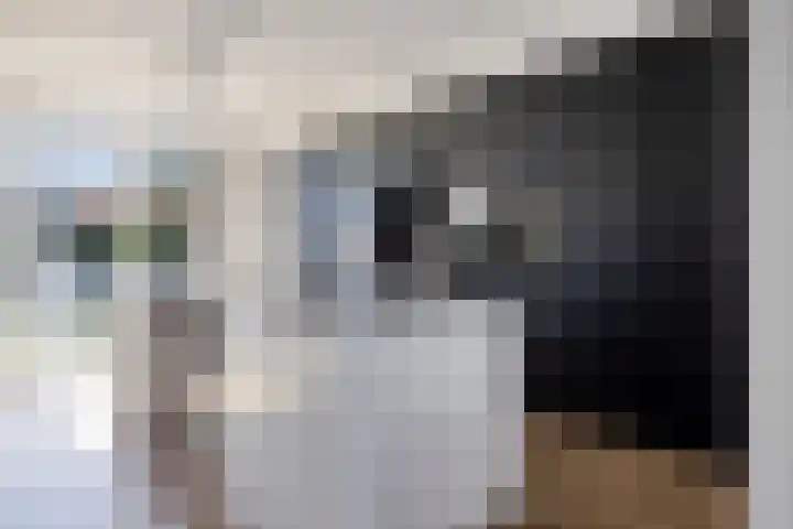 Lisidunalaan 38 Leusden thumbnail 8