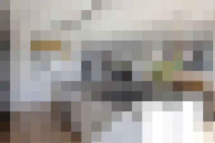 Lisidunalaan 38 Leusden thumbnail 9
