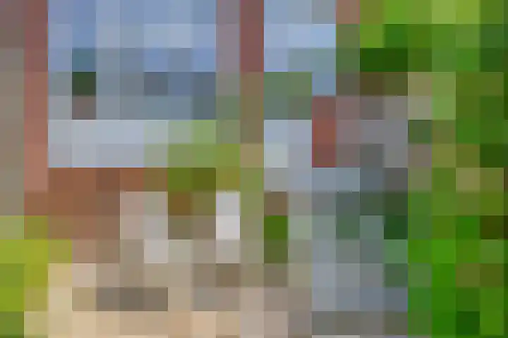 Lisplein 14 Rotterdam thumbnail 21
