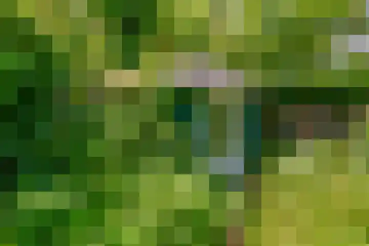 Lisplein 14 Rotterdam thumbnail 23