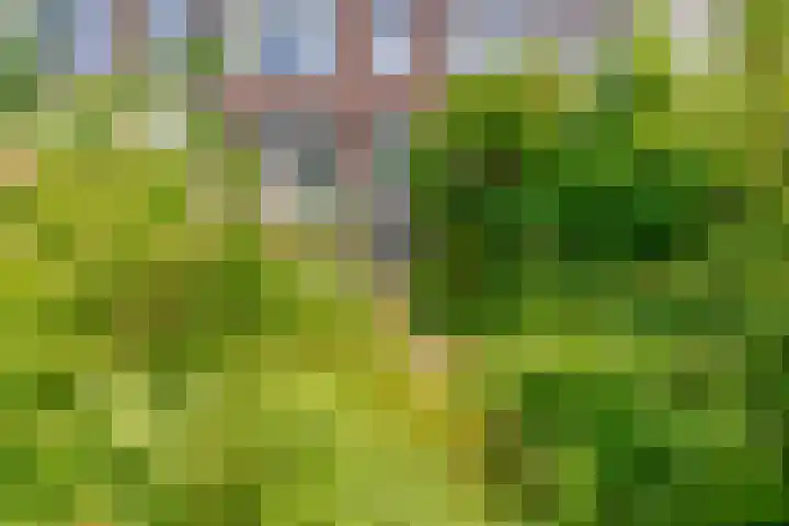 Lisplein 14 Rotterdam thumbnail 24