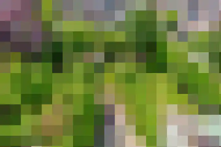 Lisplein 14 Rotterdam thumbnail 45