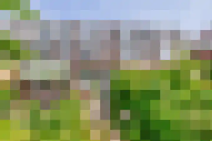 Lisplein 14 Rotterdam thumbnail 5