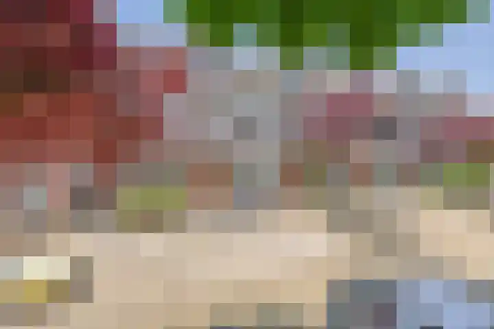 Lisplein 14 Rotterdam thumbnail 6