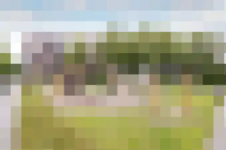 Lissabonhaven 52 Purmerend thumbnail 44
