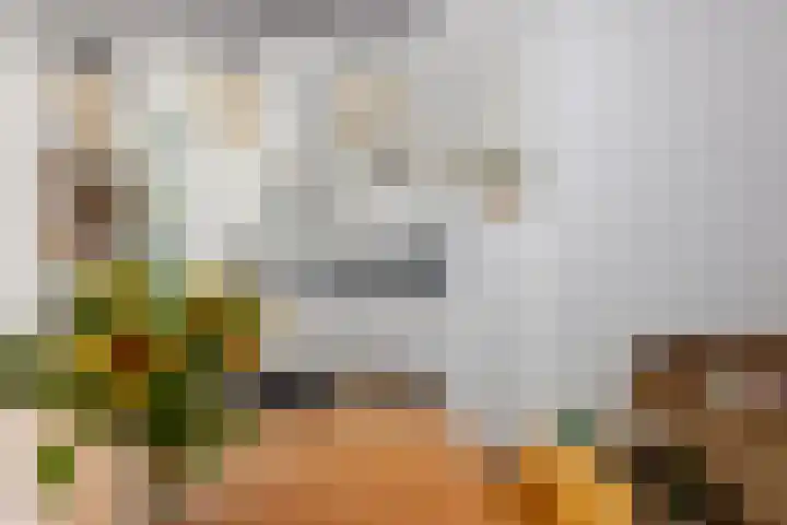 Lisstraat 40 B Rotterdam thumbnail 37