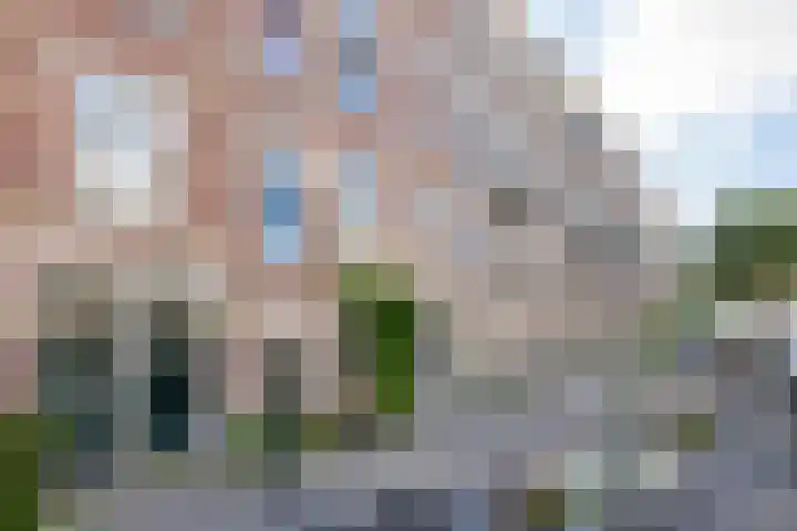 Lisstraat 40 B Rotterdam thumbnail 64