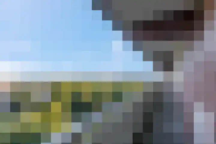 Lisztgaarde 262 Oss thumbnail 13