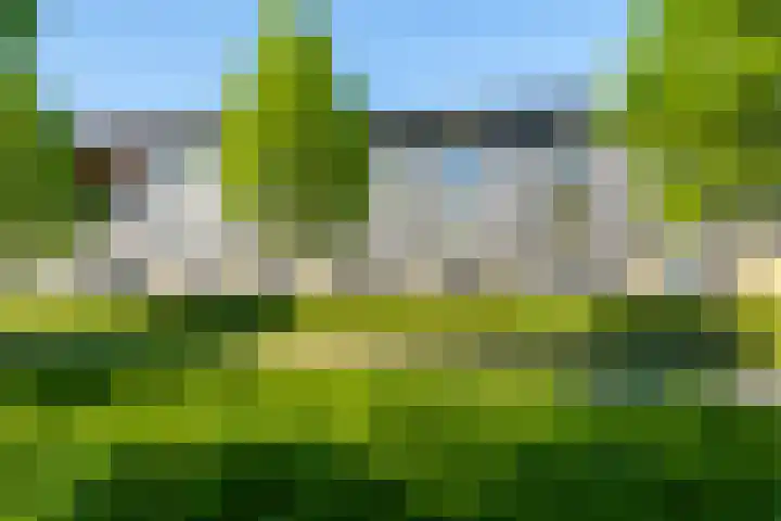 Lisztgaarde 262 Oss thumbnail 16