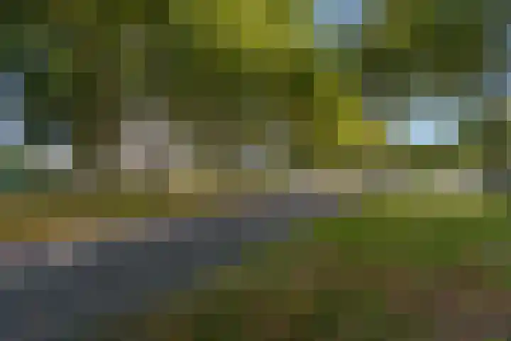 Lisztgaarde 262 Oss thumbnail 19