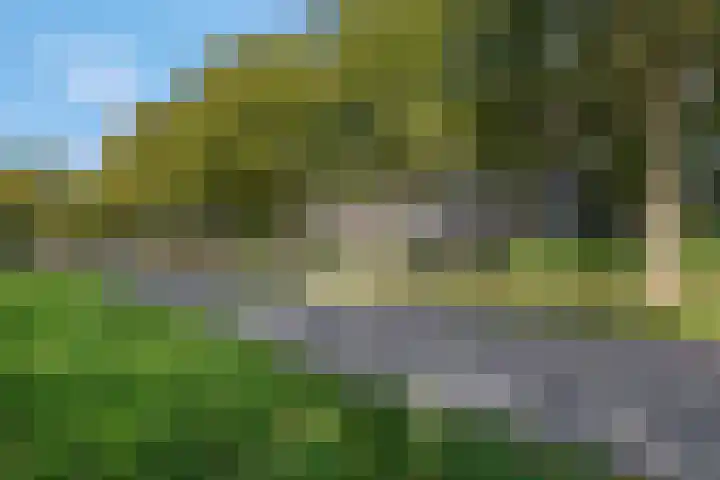 Lisztgaarde 262 Oss thumbnail 20