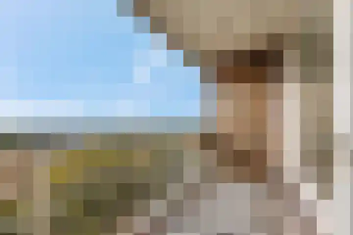 Lisztgaarde 262 Oss thumbnail 5