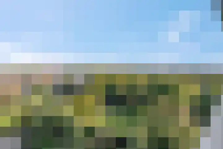 Lisztgaarde 262 Oss thumbnail 6