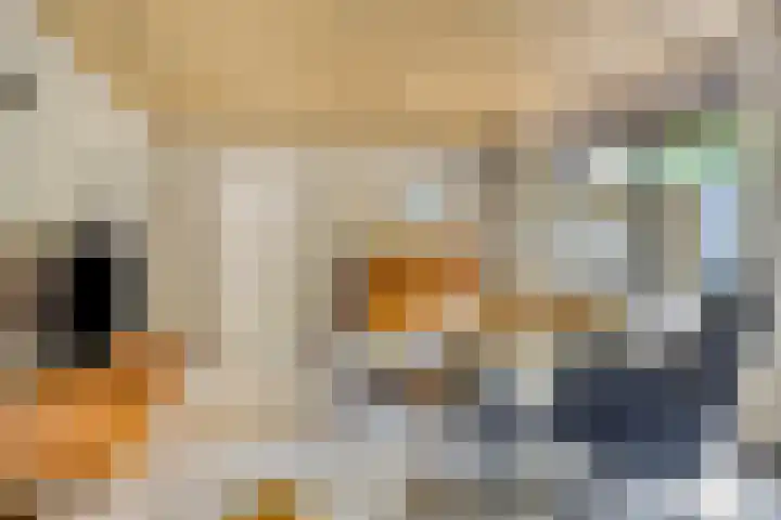 Lisztgaarde 292 Oss thumbnail 20