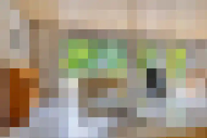 Lisztgaarde 292 Oss thumbnail 21