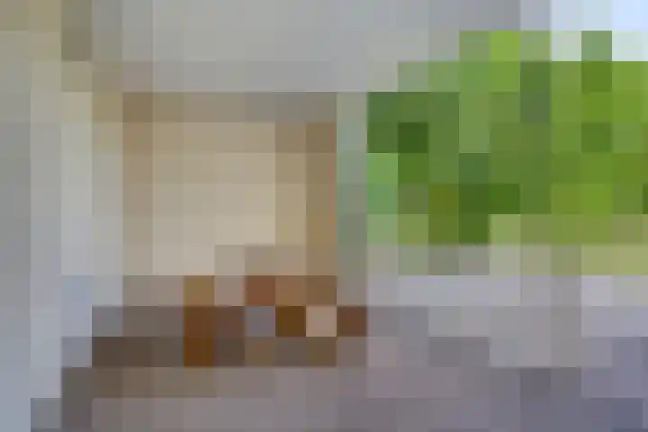 Lisztgaarde 292 Oss thumbnail 23
