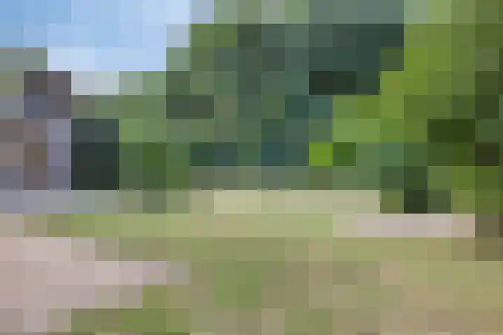 Lisztgaarde 292 Oss thumbnail 41