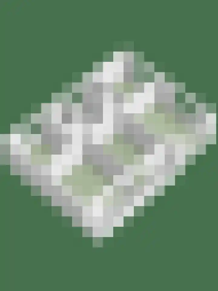 Lisztgaarde 292 Oss thumbnail 53