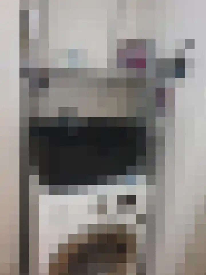 Lisztgaarde 46 Oss thumbnail 13