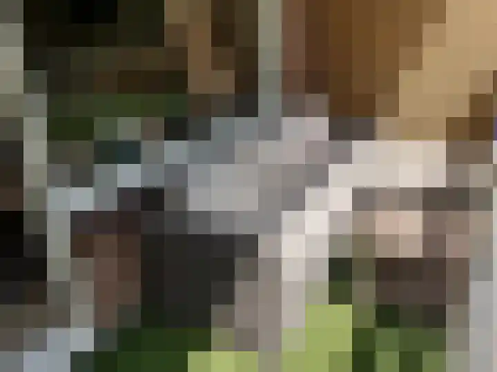 Lisztgaarde 46 Oss thumbnail 14