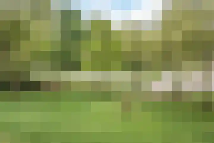 Lisztgaarde 46 Oss thumbnail 16