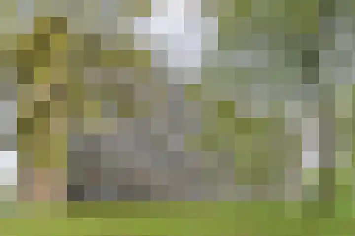 Lisztgaarde 46 Oss thumbnail 17