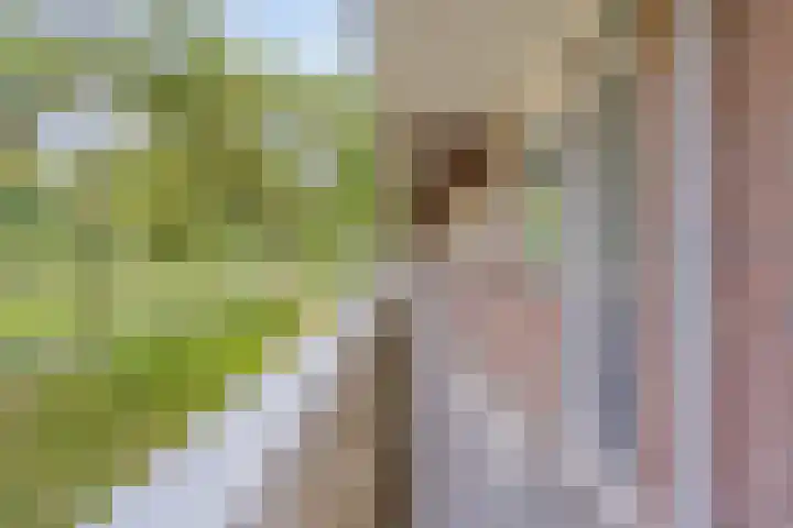 Lisztgaarde 8 Oss thumbnail 11